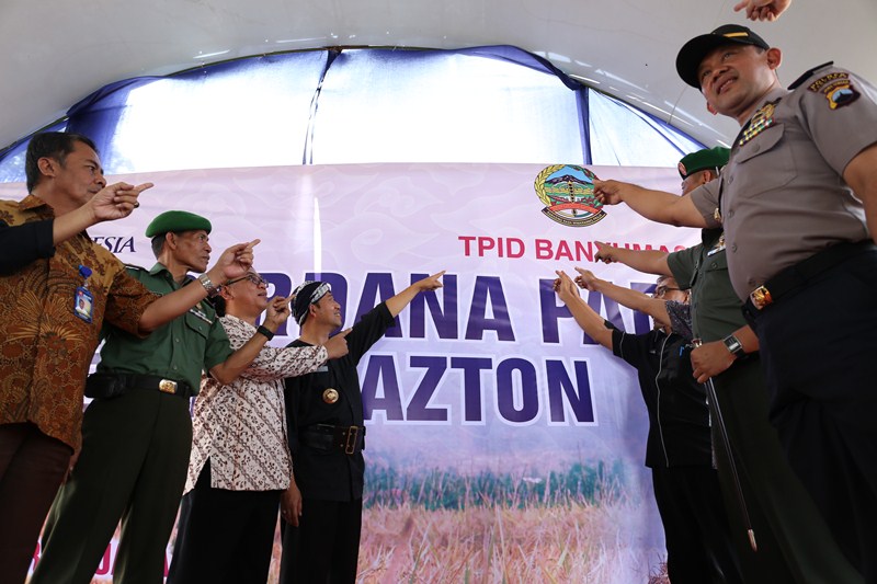Tanam Padi Metode Hazton yang sukses