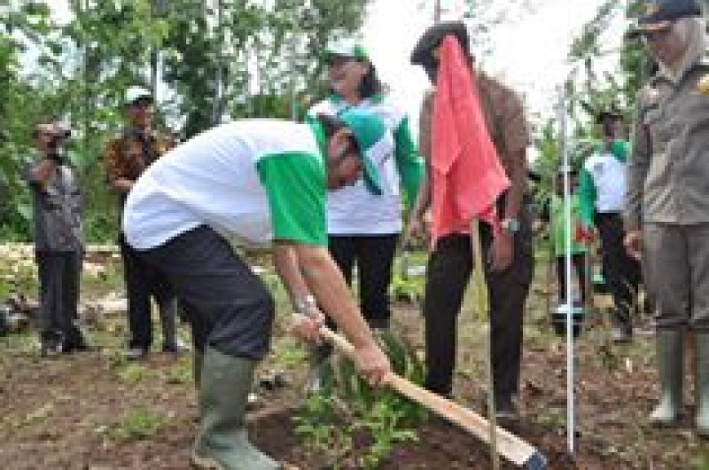 Gerakan Semilyard Pohon Di Banyumas