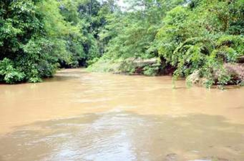 80 KK Terancam Erosi Sungai Klawing