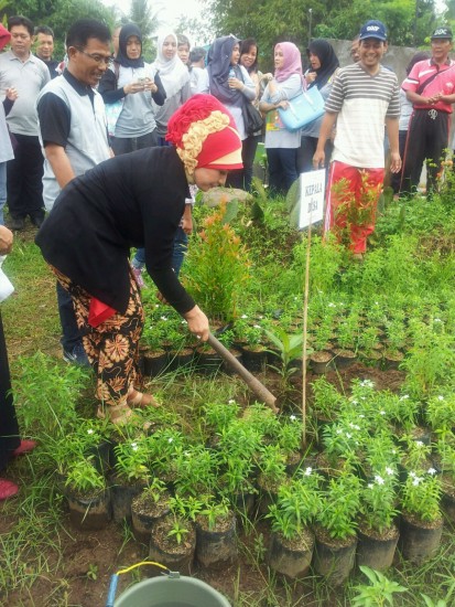 Kepala Desa Tambaksari Kembaran Rita Indriyani menanam pohon sumbangan PAWONE