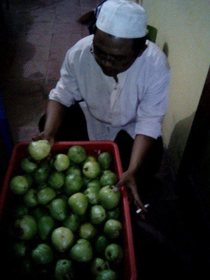 Hebat Ustad Iqbal Sukses Bertanam Buah