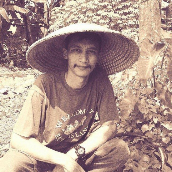 Ari Senjoyo, Petani Buah Tin Dari Karanglewas