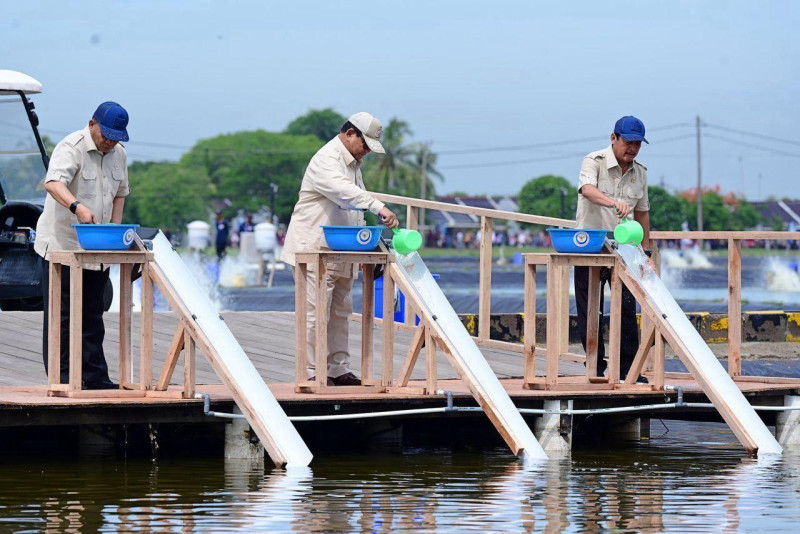 Presiden Prabowo Subianto Tinjau Kawasan BLUPPB Karawang, Dorong Swasembada Pangan dan Ekonomi Biru